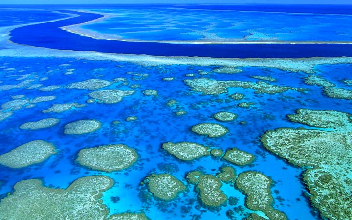 Belize